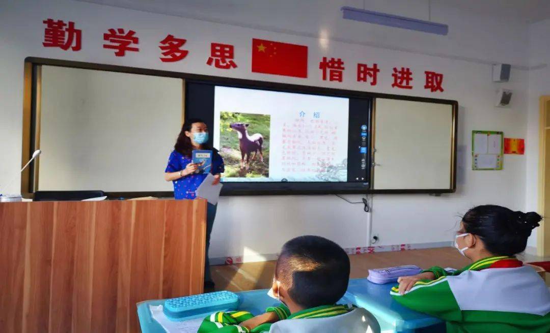 利辛县实验小学举办沈石溪动物小说阅读分享盛会