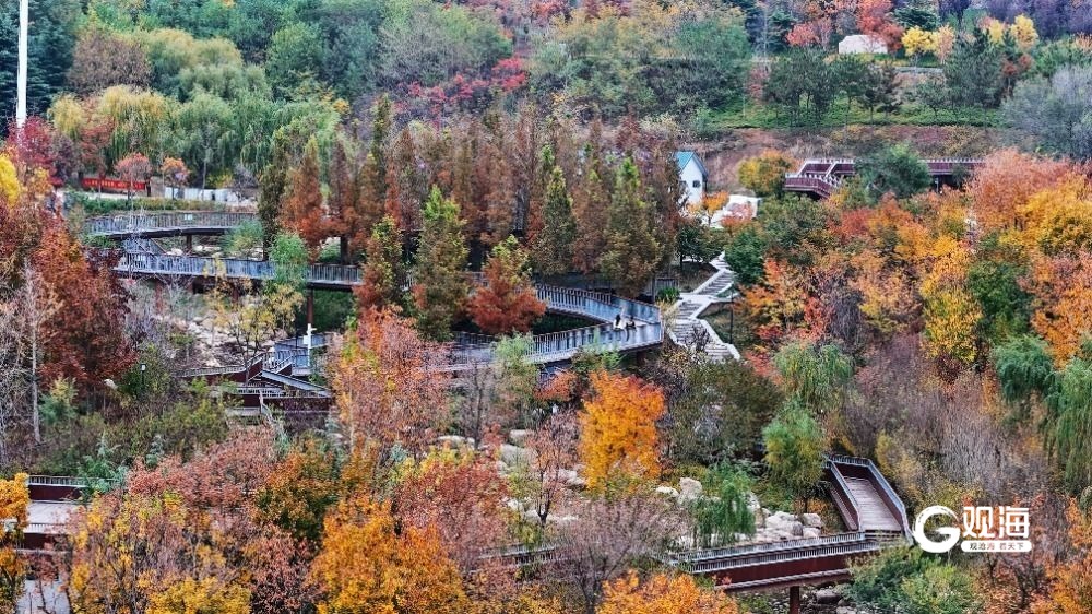 老虎山生态修复示范园，自然画卷中的行旅体验