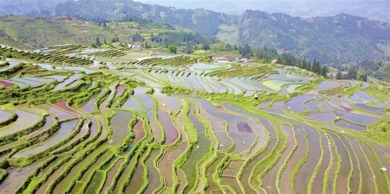 梯田农耕新体验与文旅赛事掀起热潮