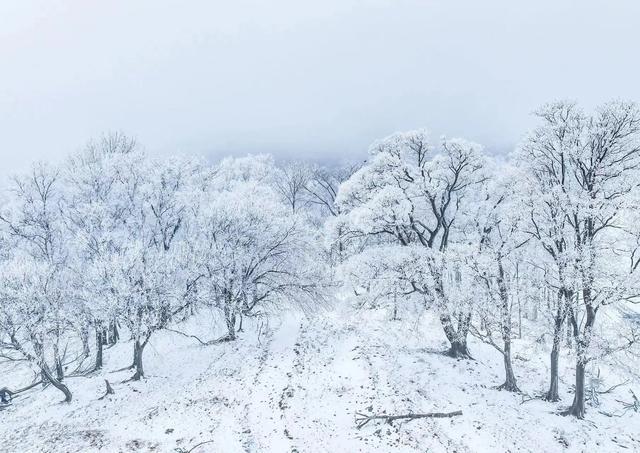 北大湖新雪季的独特魅力初体验