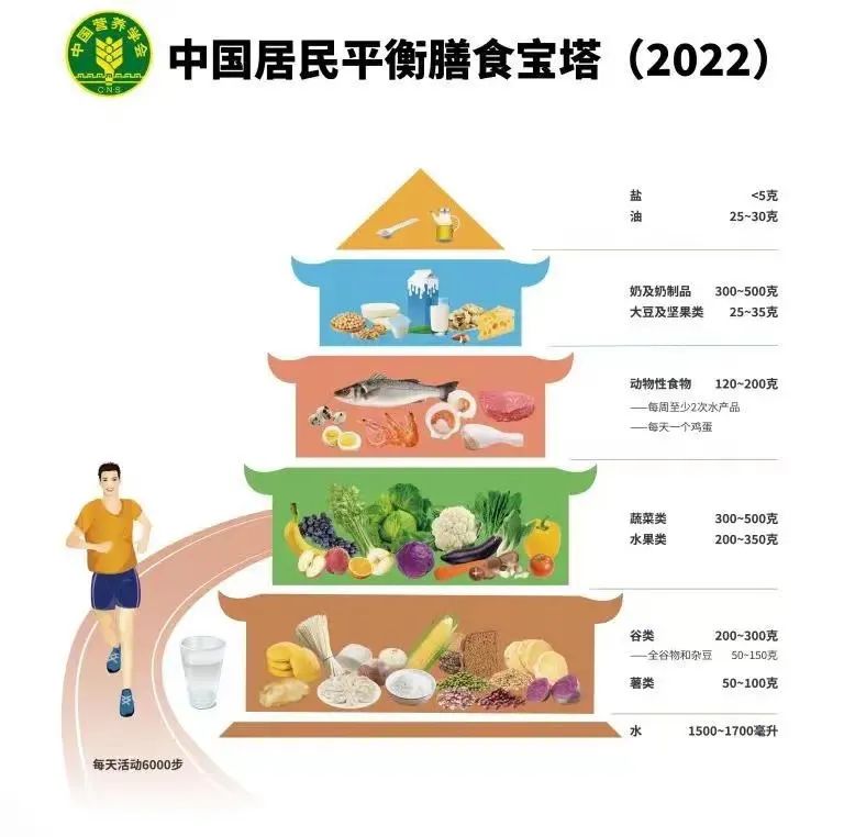 食疗食谱助力肠道有益菌群平衡增长与调节