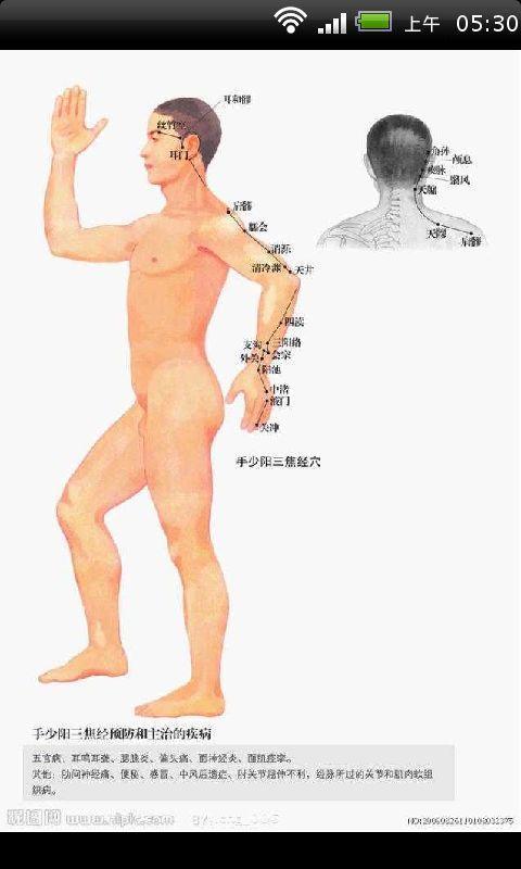 中医经络养生，疏通经络，开启健康之门