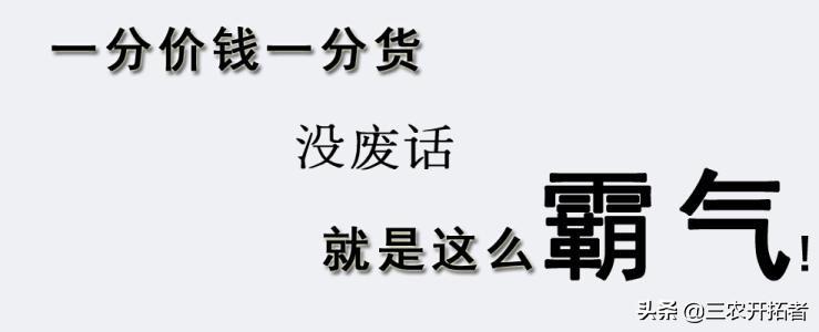 教育公平，构建社会平等的桥梁