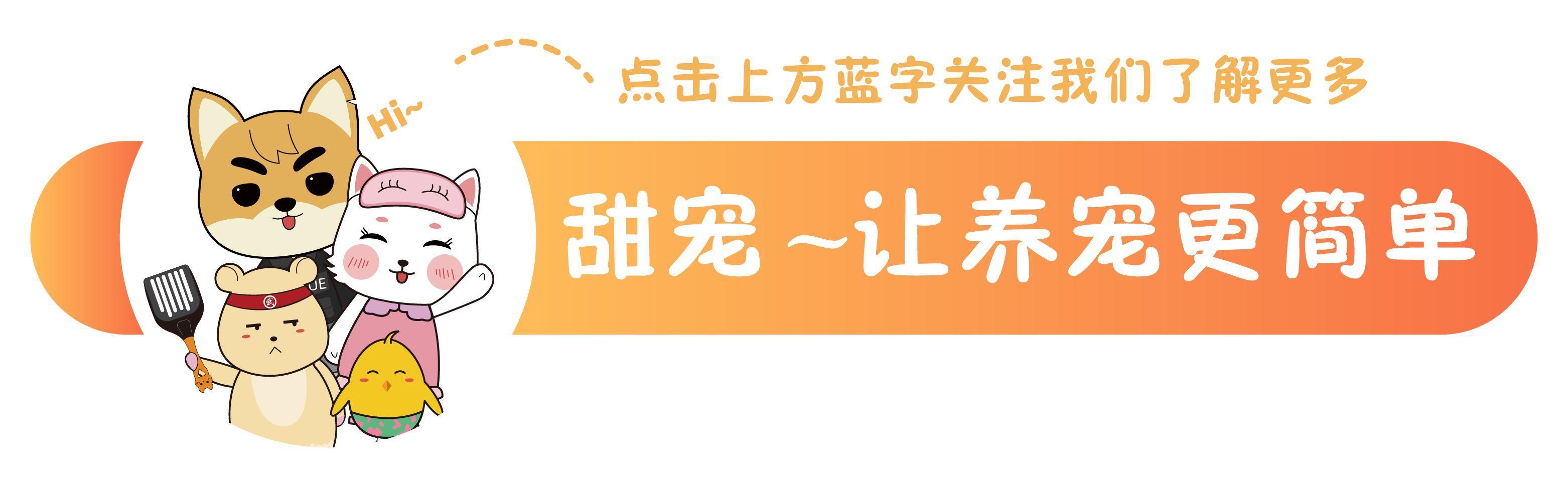 家庭急救措施，预防休克发生的关键步骤