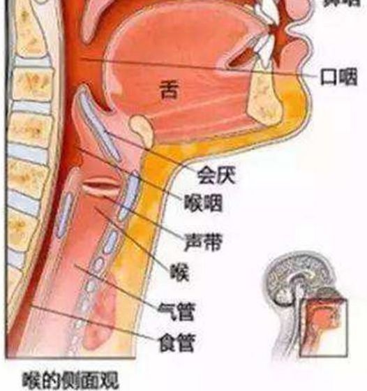 漫里风铃音 第6页