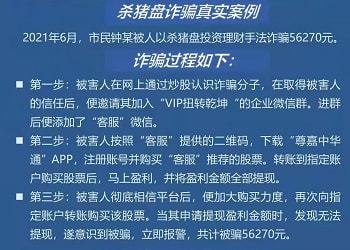 网上金融投资诈骗的防范策略与应对策略