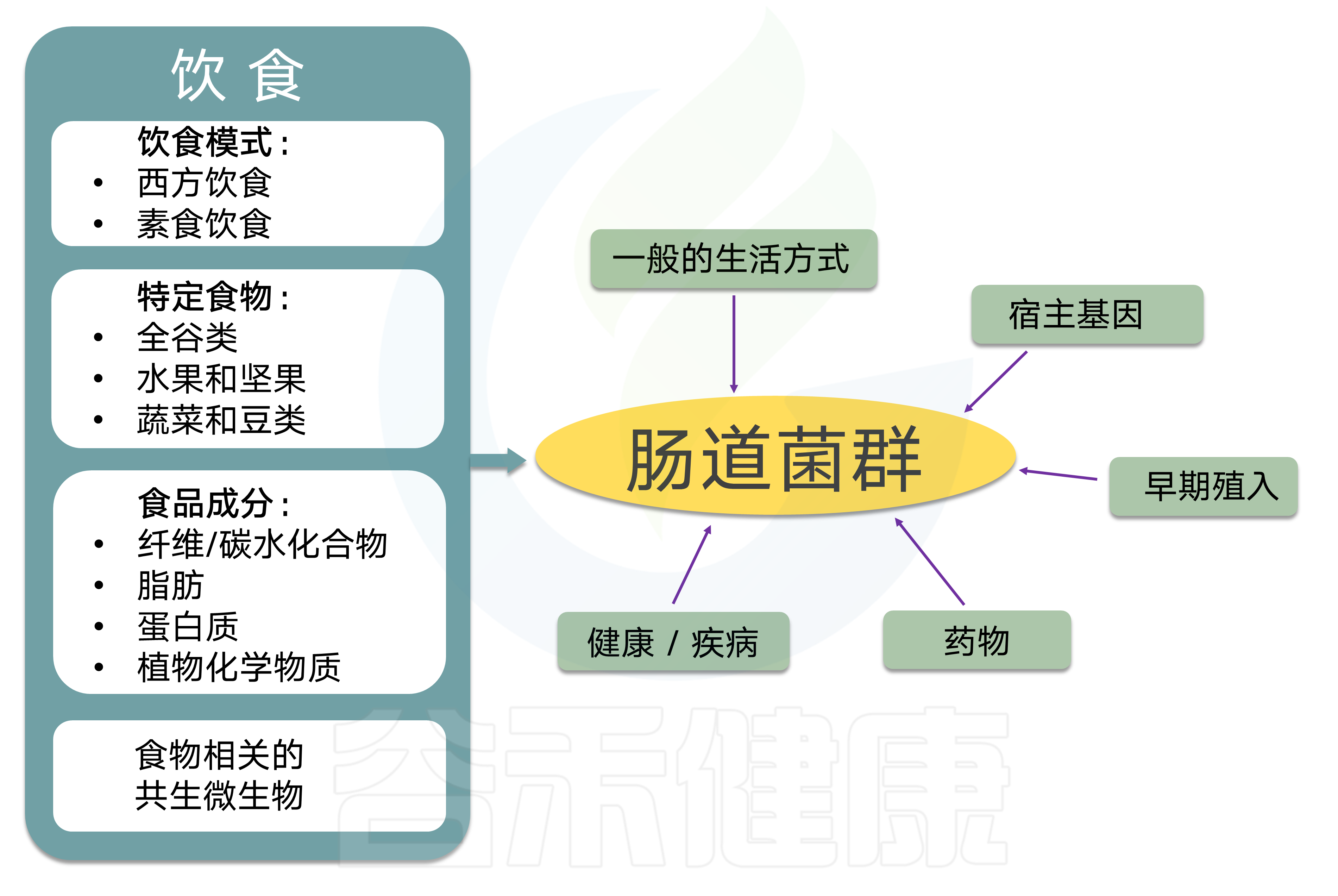 养生食谱，增强肠道菌群的健康之路指南