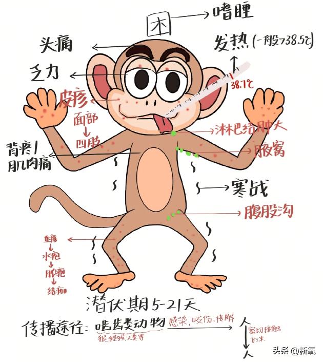 全球猴痘疫情动态，最新报道与应对策略