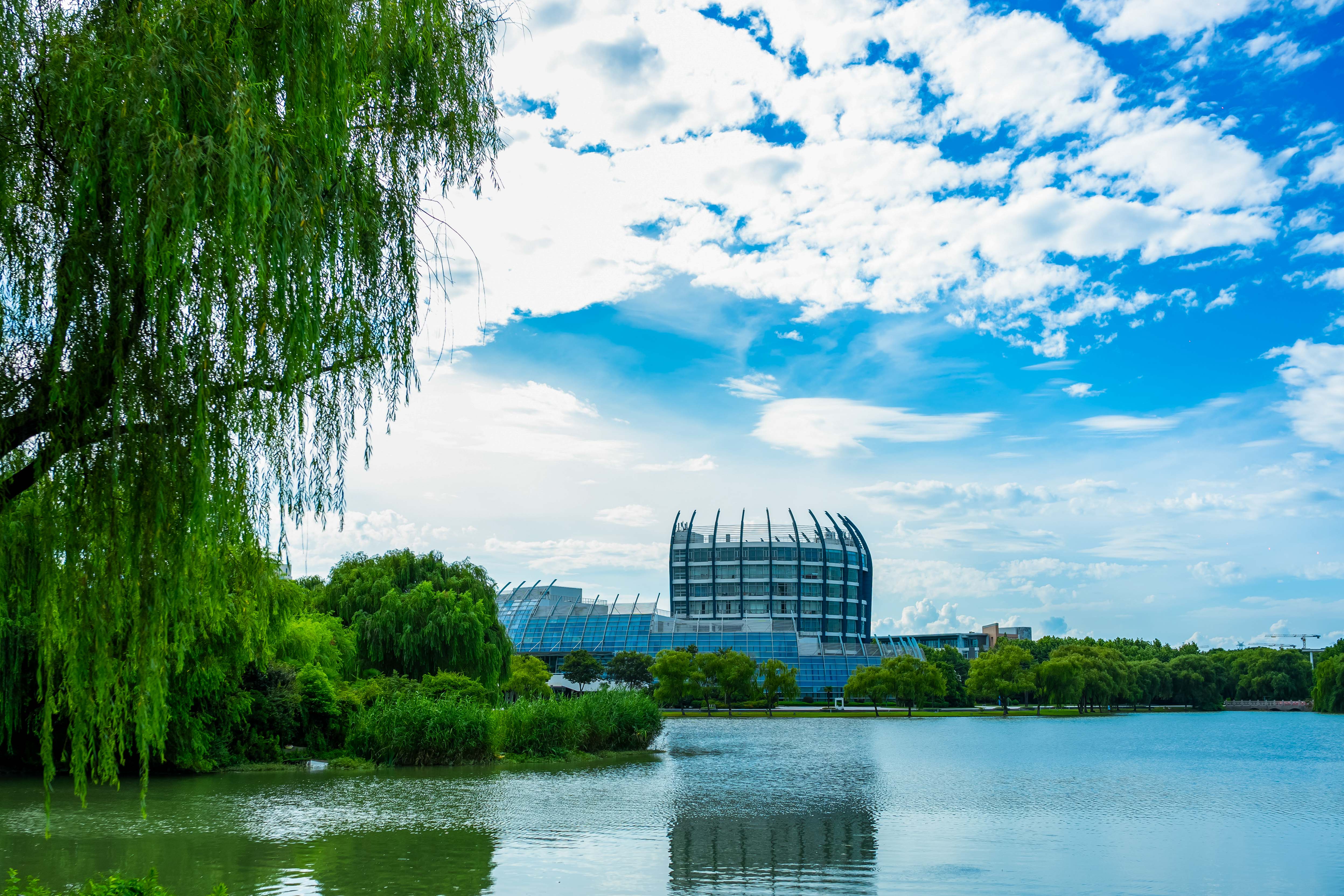 东华大学，历史底蕴与现代风采的交融处