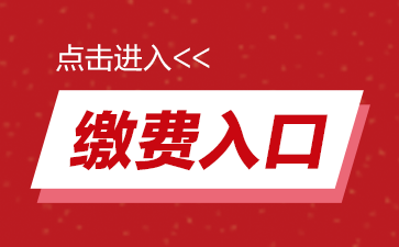 中国人才招聘网官网入口，连接企业与人才的桥梁门户