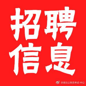 咸安区2024年中小学教师招聘展望与趋势分析