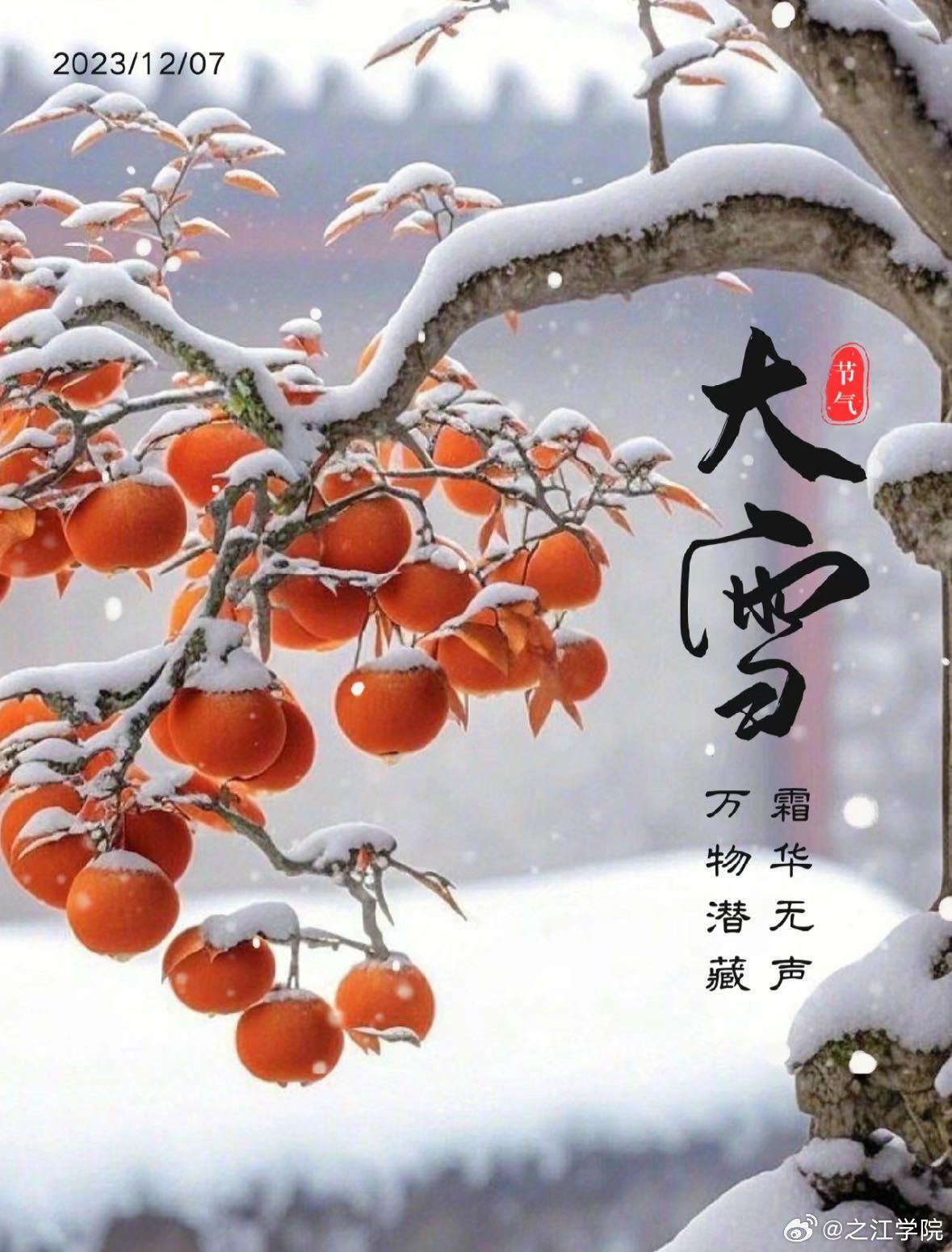 饶雪漫 第319页