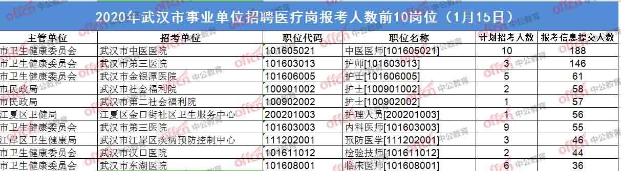 武汉市事业单位公示，公开透明助力公平与效率提升