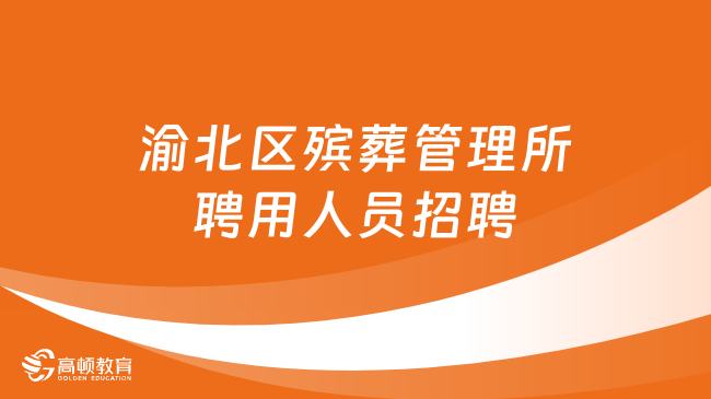 电力行业社会招聘岗位概览，从入门到高级职位详解