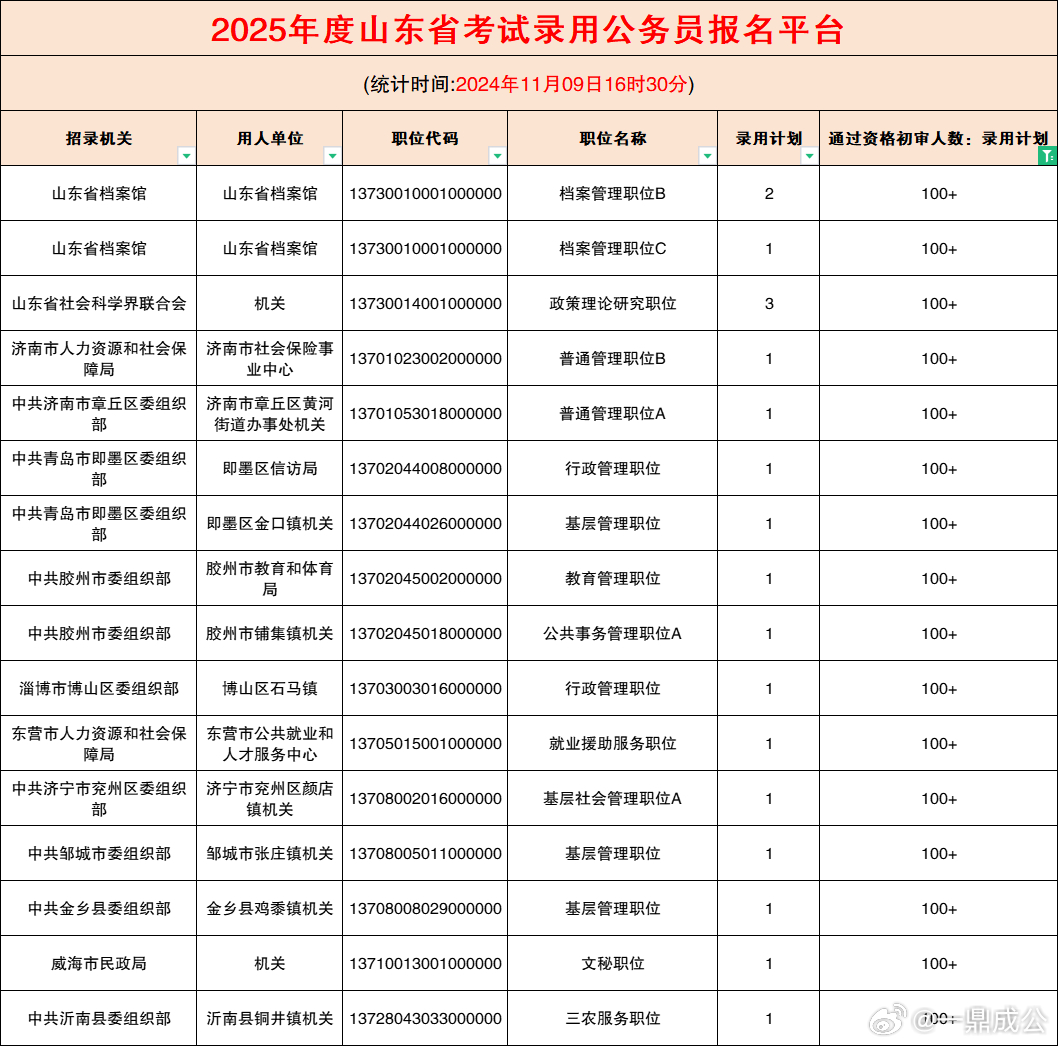 山东省公务员招聘官网，公务员招聘之路探索