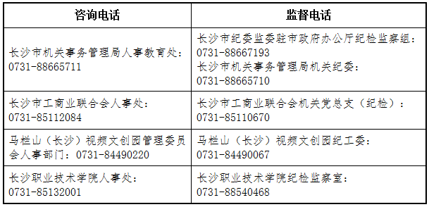 长沙市直事业单位招聘2024，城市人才招募之旅的机遇与挑战