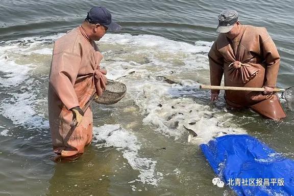 水利局积极应对老人河边放生大米事件的处理与思考