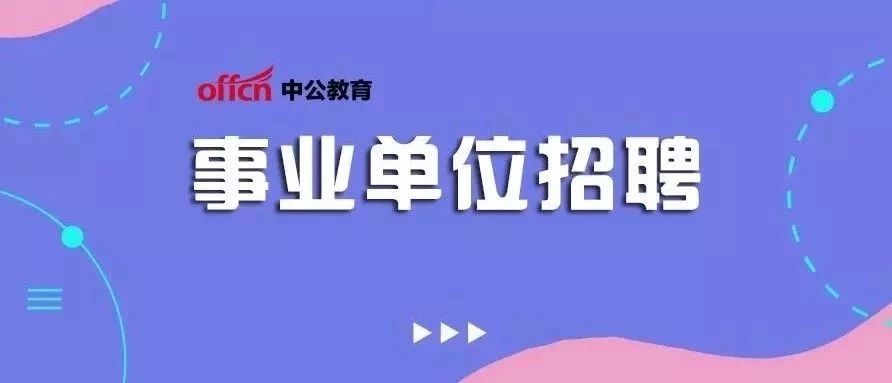 事业编考试咨询全面解读指南