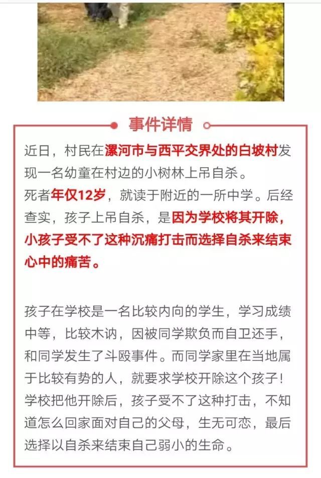 苏州回应学生手拉手跳楼事件，深入调查与关怀同行