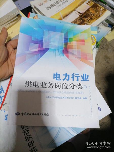 电力公司事业编，职业发展与行业洞察探讨