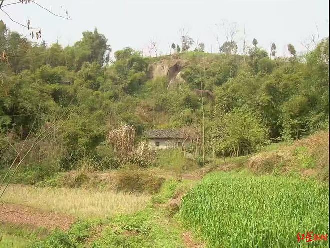 被村规民约束缚的外嫁女，困境与出路探索