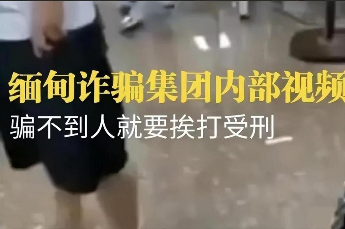 算法能否被驯化，评论机票价格以求降价？