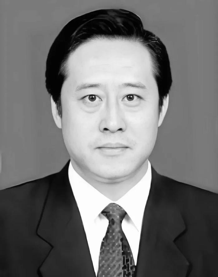 75岁高龄官员面临公诉，权力与责任双重审视，官员与市长之子离世之谜