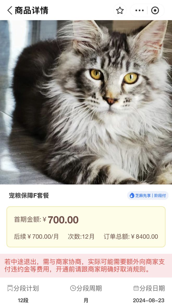 领养猫咪后拒付猫贷，一宗引发社会深思的被告案例