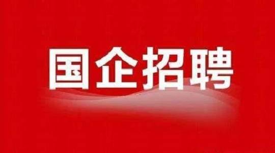 国企开放未来之门，2024年不限专业大规模招聘启事