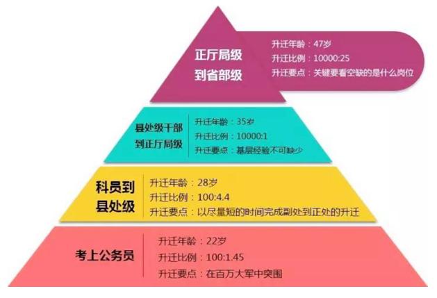 事业编报考官网，职业梦想的起点站