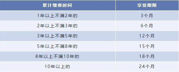 事业单位缴费截止日期的重要性及其影响分析