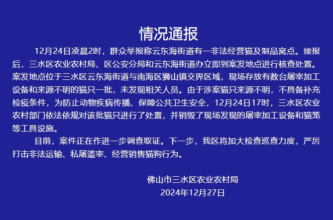 佛山猫溺亡事件，悲剧背后的反思