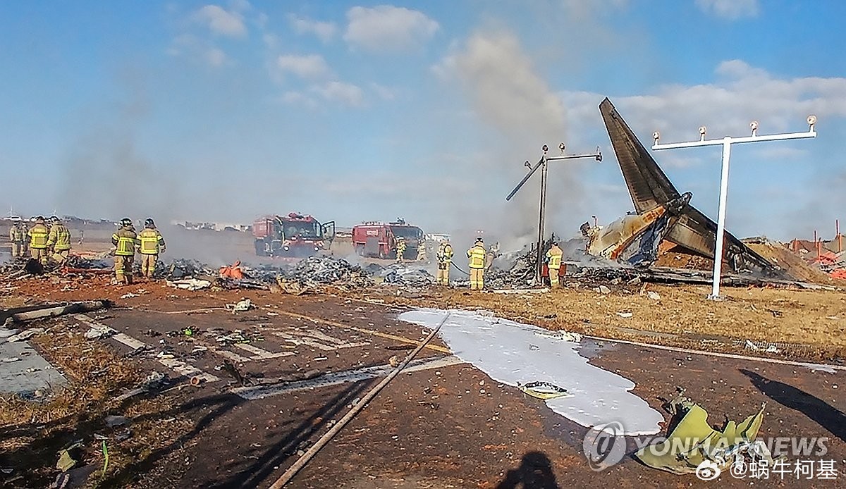 韩国一架载有181人飞机降落时起火事件纪实