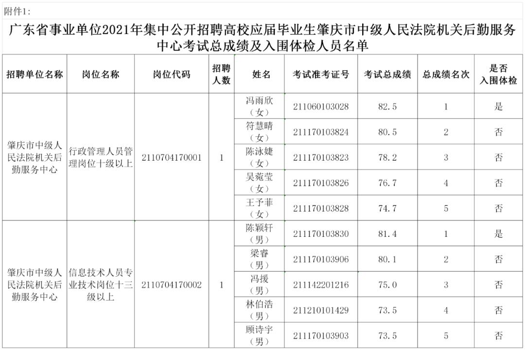 事业单位招收应届毕业生，助力青年成长与社会进步共融共进