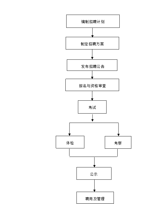 事业编招聘流程全面解析