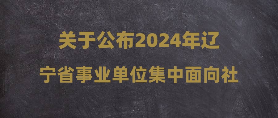 辽宁事业编招聘计划，未来蓝图启动招募行动