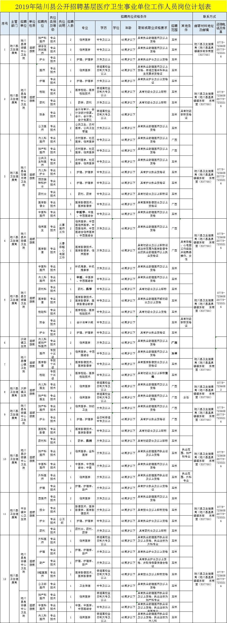 医疗事业单位公开招聘考试，选拔优秀人才的关键环节解析