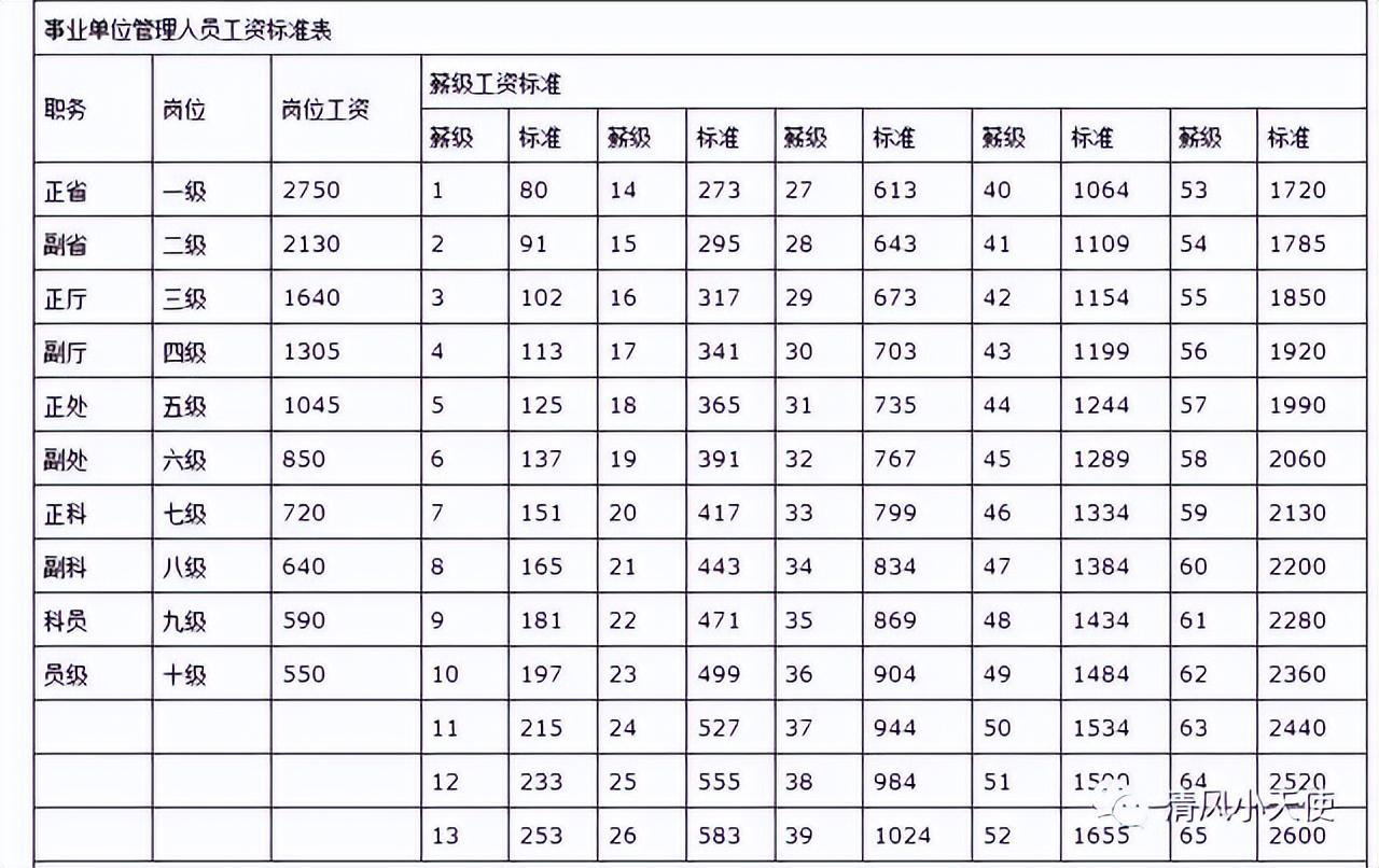 事业编招聘公告2024——启航新征程，开启职业新篇章