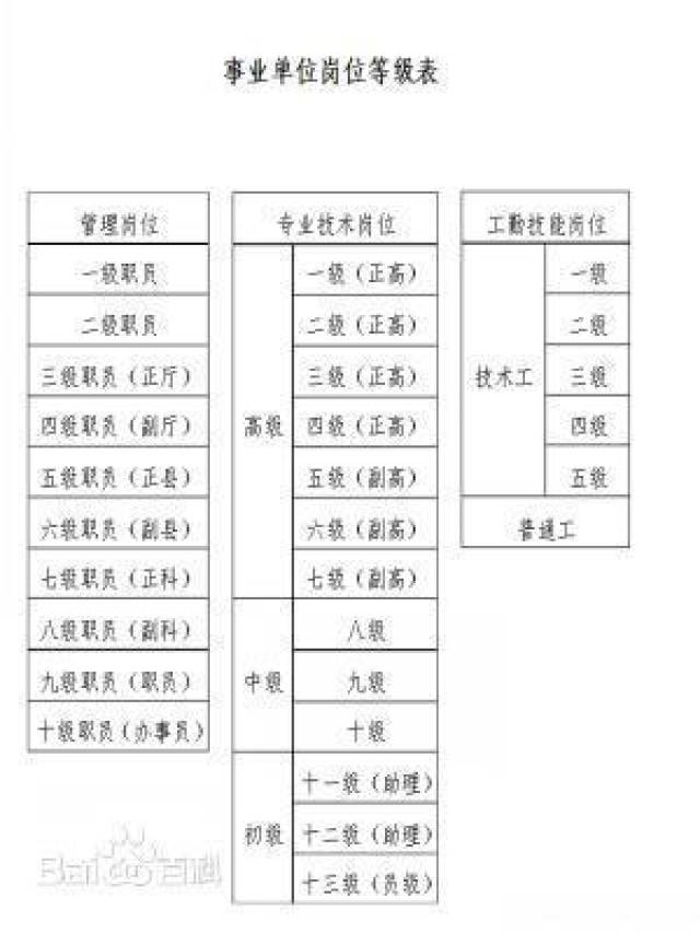 事业单位信息工程岗位深度解析与探讨