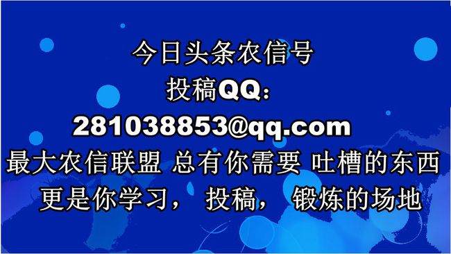 银行纪检监察岗招聘启动，筑牢诚信金融体系基石