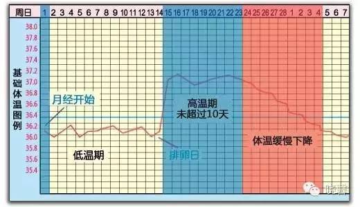 2025年1月7日 第15页