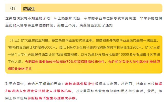 事业单位编制应届生，机遇与挑战的交织之路