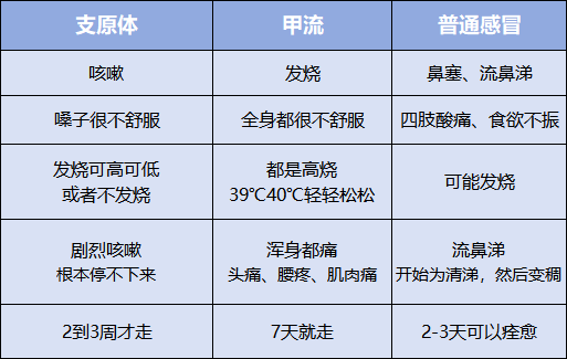 甲流与普通感冒，深入探讨其最大区别