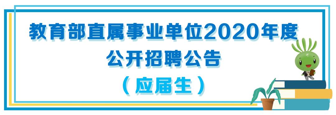 事业编信息技术岗专业知识，深度探索与洞察