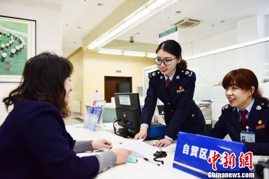 辽宁国税局公务员职位详解，职业前景、工作内容与报考指南