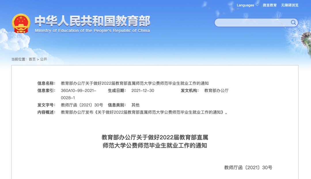 公务员信息技术岗位职责与角色全面解析