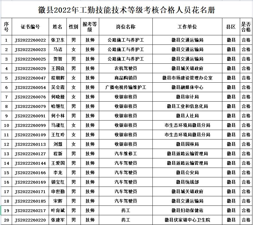 事业单位信息技术岗职责与角色深度解析