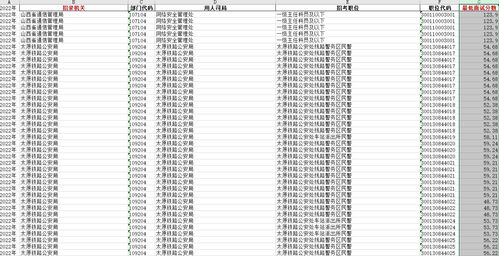 2024年公务员报考条件深度解析与要求概览