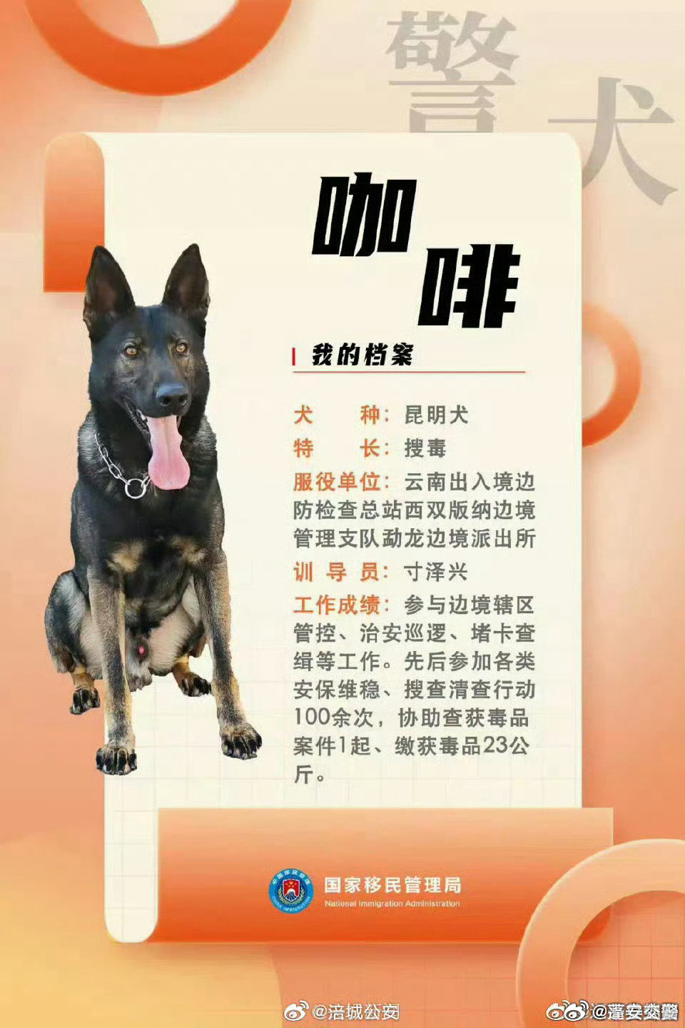 警犬工作状态不佳遭通报批评，责任与福利的双重考量