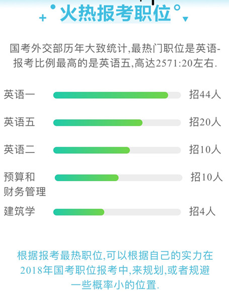 外交部公务员报考岗位，探索与挑战之路